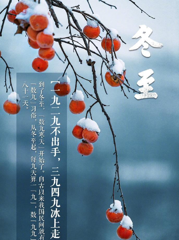 图片47.jpg